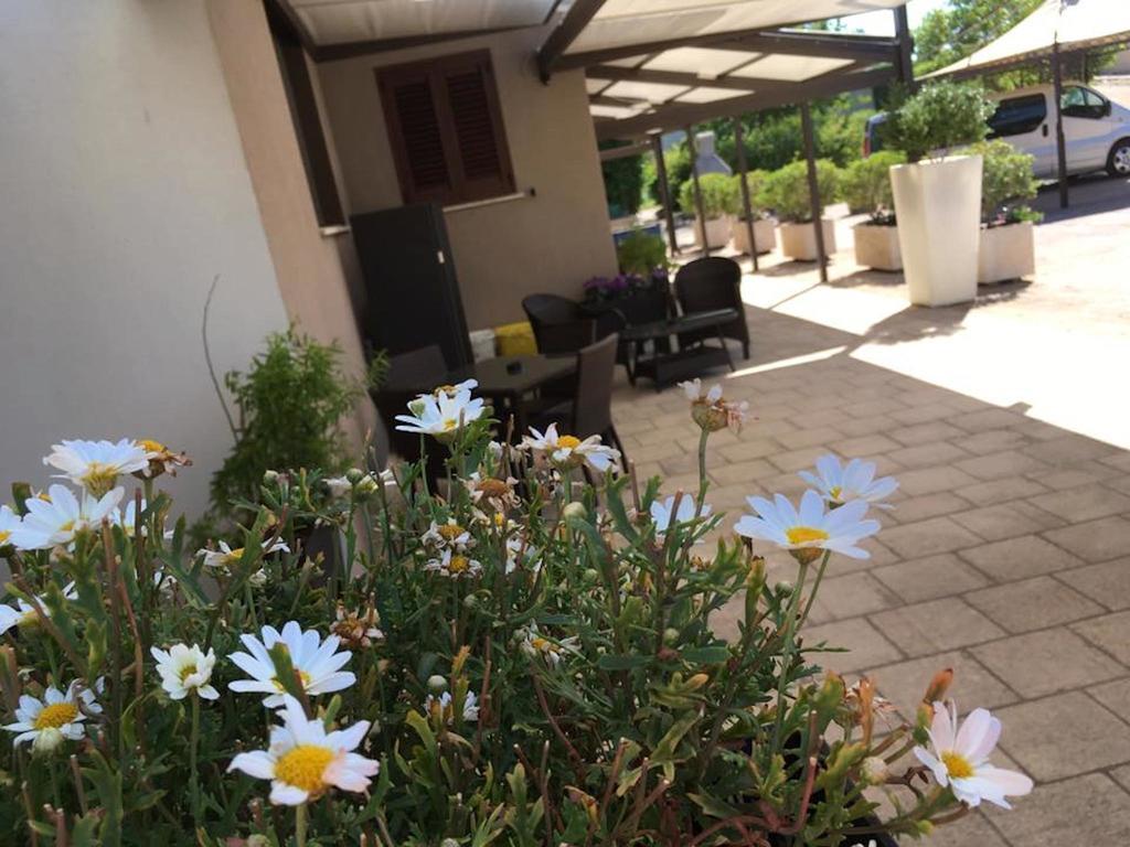加尔迪尼迪马索住宿加早餐旅馆 莱切 外观 照片